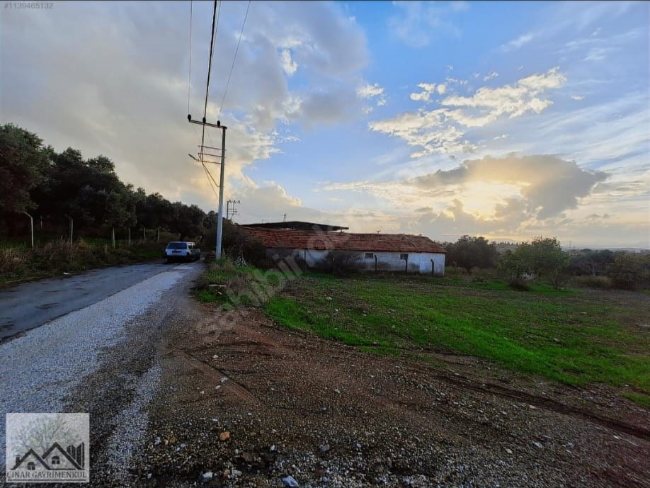 Çınar Gayrimenkul